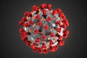 coronavirus-2-covid-proves-pruebas-argentona